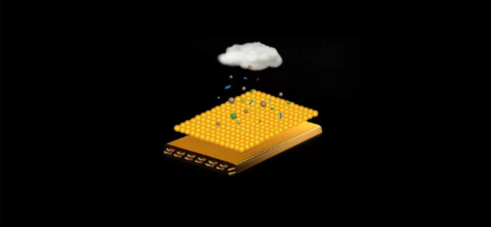 https://bmgbg.com/wp-content/uploads/2025/05/gd3.webp