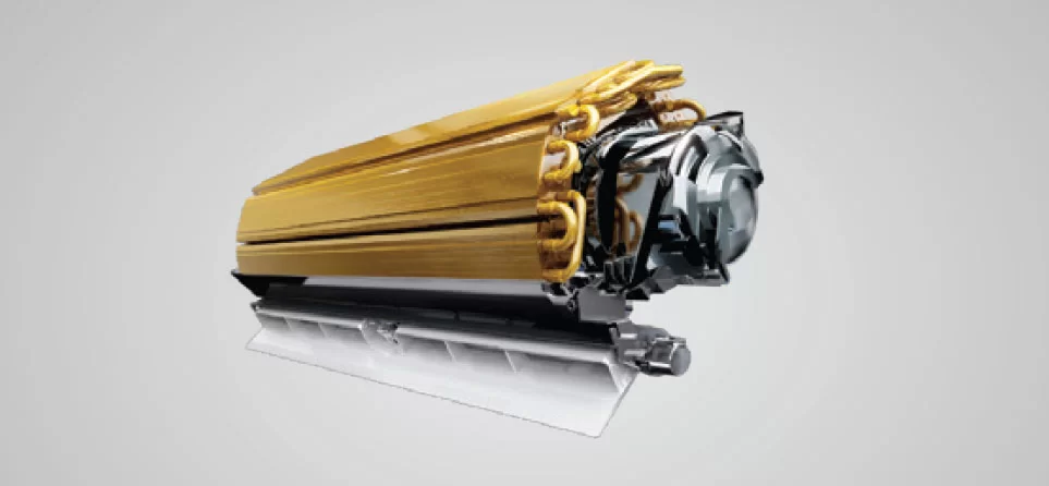 https://bmgbg.com/wp-content/uploads/2025/05/golden-fin.webp
