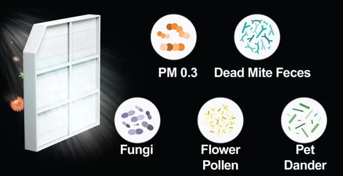 https://bmgbg.com/wp-content/uploads/2025/05/h13-hepa-filter.webp
